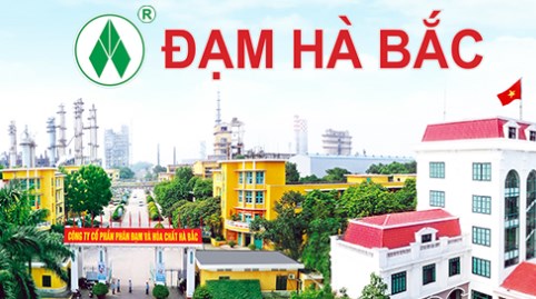 Đạm Hà Bắc (DHB) đối mặt cảnh báo duy trì do kiểm toán ngoại trừ 4 năm liên tiếp liên quan đến dự án mở rộng