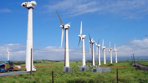 EVN có thể tiếp tục cắt giảm công suất điện gió ở mức cao do thừa điện