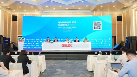 ĐHĐCĐ GELEX: Đặt mục tiêu doanh thu tăng hơn 11%, dự kiến chia cổ tức 10% trong năm 2025