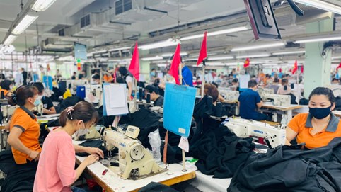 Doanh nghiệp buộc phải đổi mới sáng tạo nếu muốn vươn ra thế giới