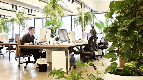 Xu hướng chọn thuê văn phòng thay đổi, ưu tiên tiện ích và môi trường xanh