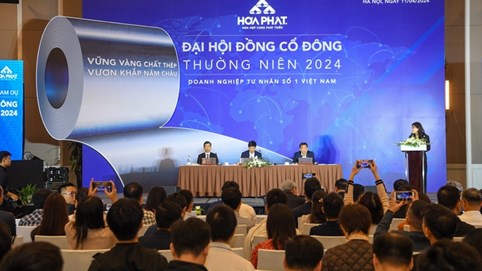 ĐHĐCĐ 2024: Chủ tịch HĐQT Trần Đình Long của Hòa Phát khẳng định: 'Việc khởi xướng điều tra chống bán phá giá (CBPG) là theo chuẩn WTO và là điều thông thường'