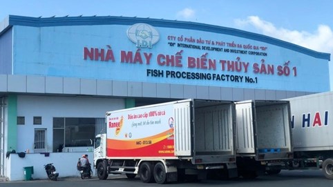 Lợi nhuận của IDI giảm gần 17% sau kiểm toán