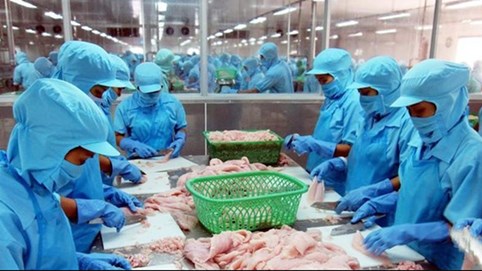 Vĩnh Hoàn (VHC) dự kiến lợi nhuận quý I đạt 540 tỷ đồng, lợi nhuận cả năm đạt hơn 1.600 tỷ đồng