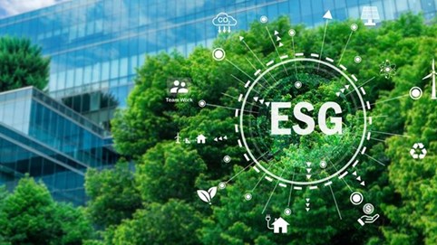 Lời giải cho bài toán chuyển đổi các KCN cũ sang mô hình KCN sinh thái