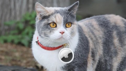 Muốn tìm hay theo dõi ai đó: Apple AirTags liệu có làm được điều này?