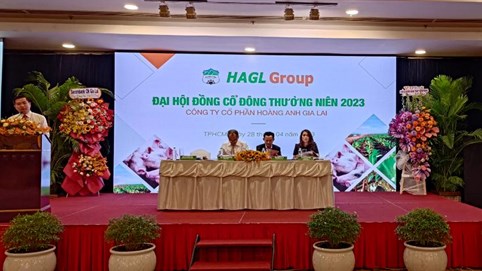 ĐHĐCĐ 2023: Hoàng Anh Gia Lai (HAG) thưởng 20 triệu ESOP cho những người gắn bó với công ty, không kiểm soát công ty bán thịt heo và tập trung nuôi heo ăn chuối