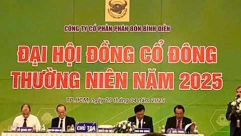ĐHĐCĐ Phân bón Bình Điền (BFC) đặt kế hoạch 2025 giảm mạnh sau năm kỷ lục