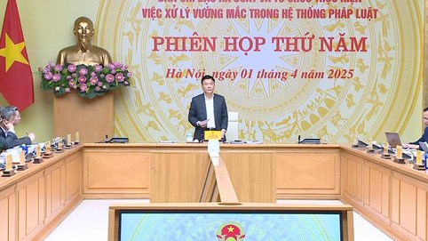 Kế hoạch hoạt động của Ban Chỉ đạo rà soát, xử lý vướng mắc trong hệ thống pháp luật