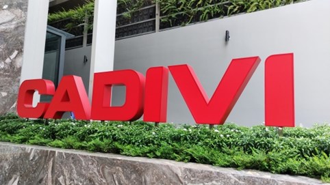 CADIVI có tân Chủ tịch HĐQT, đặt mục tiêu lãi trước thuế 460 tỷ đồng trong năm 2024
