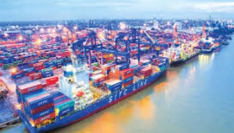 Cảng Đình Vũ (DVP) chia cổ tức kỷ lục, hướng tới mục tiêu kinh doanh mới