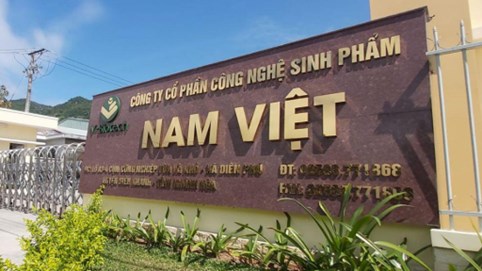Tổng giám đốc Nam Việt (ANV) tăng sở hữu trong khi con trai bị bán giải chấp cổ phiếu
