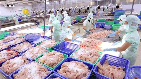 Kết quả kinh doanh lao dốc, Phó Tổng Giám đốc Thuỷ sản Cửu Long An Giang (ACL) muốn thoái toàn bộ phần vốn đang nắm giữ