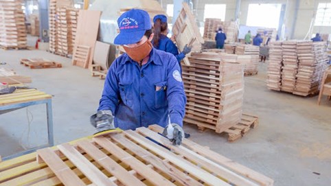 Phú Tài (PTB) dự kiến chia cổ tức tiền mặt tỷ lệ 20%, doanh thu quý 1/2023 sụt giảm mạnh