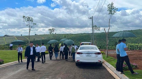 Nhiều bất động sản đất nền đã giảm giá 20-30%