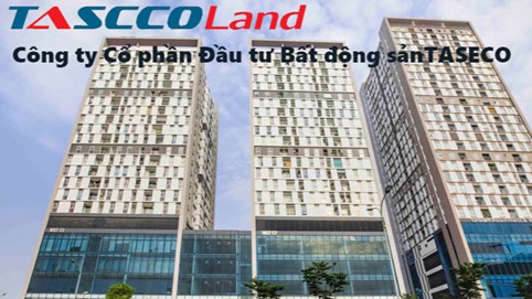 Taseco Land (TAL) thành lập công ty con tại Hải Phòng có vốn điều lệ 20 tỷ đồng