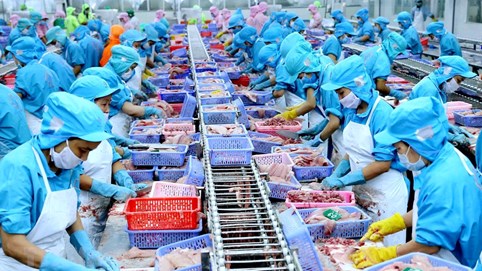 Lĩnh vực CB&XNK thủy sản: Làm gì để phát triển xứng tầm?