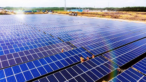 Bamboo Capital (BCG) lãi quý I/2022 tăng trưởng 221% so với cùng kỳ