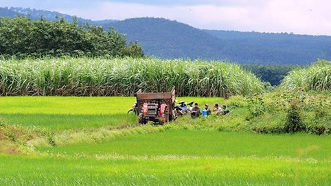 Quy định về tách thửa, hợp thửa đất