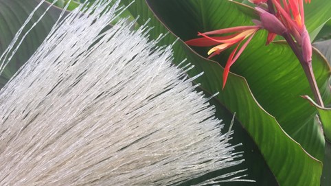 Khám phá sản vật miền Bắc Việt Nam: miến dong Bình Lư, hạt dổi rừng, thảo quả Lai Châu