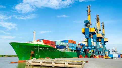 Vận tải Hải An (HAH) trình kế hoạch lợi nhuận 2025 tăng 33%, dự kiến đóng mới 4 tàu container