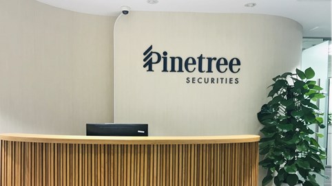 Chứng khoán Pinetree chuẩn bị phát hành 400 tỷ đồng trái phiếu doanh nghiệp 