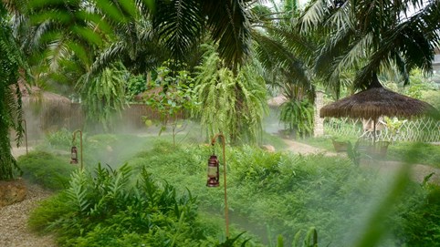 Homestay 2ha giá 45 tỷ đồng, chủ nhà vẫn than lỗ: “Tiền đầu tư gấp hàng chục lần tiền mua đất”?