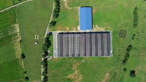 CEO ngân hàng lớn nhất Singapore tiết lộ nguồn vốn lớn sắp đổ vào đầu tư bền vững