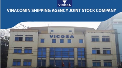 Thoái vốn Vicosa: Vì sao Vinacomin định giá 336.000 đồng/cổ phần dù lợi nhuận sụt 98%?