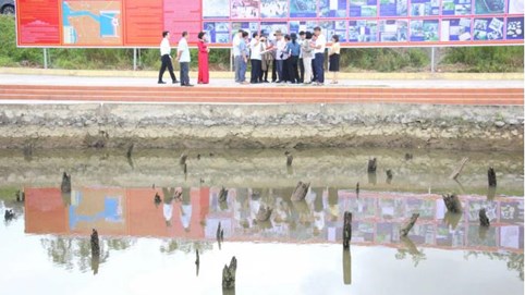 Bãi cọc Bạch Đằng phát lộ sau gần nghìn năm vùi dưới bùn: UNESCO tới khảo sát thực địa