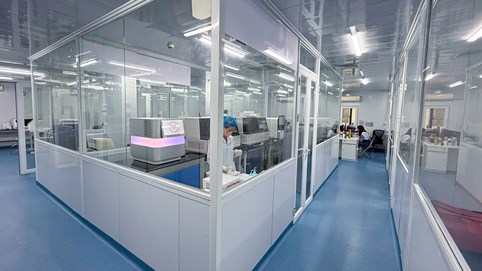 SARA Việt Nam (SRA): 'Nợ chồng nợ', lợi nhuận teo tóp, vẫn mạo hiểm thành lập loạt công ty con