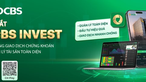 Vừa tăng vốn gấp 4 lần, Chứng khoán OCBS duyệt hạn mức 220 tỷ đồng đầu tư cổ phiếu HAG