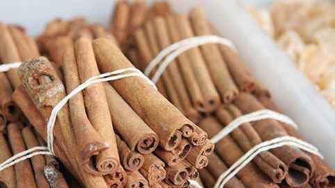 HAFOREXIM (HFX): Thua lỗ hơn một thập kỷ, âm vốn 237 tỷ, Chủ tịch HĐQT xin từ chức