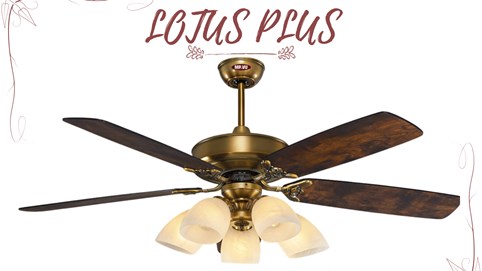 Quạt trần Mr.Vũ: “Lấy văn hóa doanh nghiệp làm nền tảng phát triển bền vững”