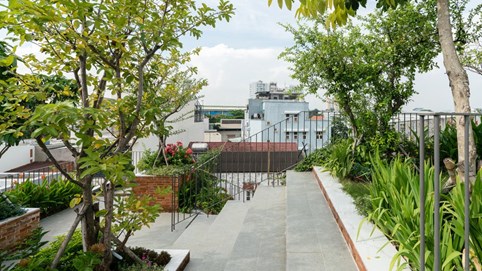 Nhờ có sân thượng trồng cây mà nhà phố xanh y như nhà vườn