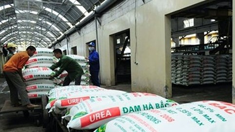 Đạm Hà Bắc lỗ 137 tỷ sau 2 quý lãi nhờ xóa nợ