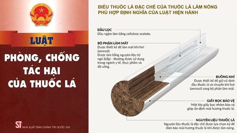 WHO hướng dẫn quản lý thuốc lá làm nóng và thuốc lá điện tử khác nhau