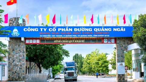 Đường Quảng Ngãi (QNS): Lợi nhuận giảm 23% sau 6 tháng, chi phí hỗ trợ bán hàng tăng đột biến