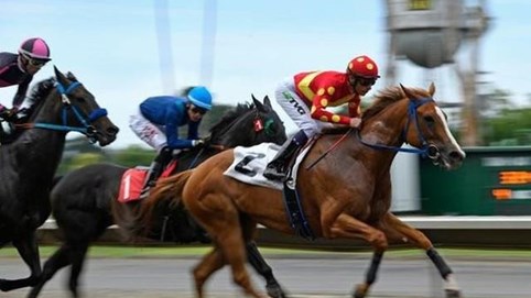 Kinh tế trưởng MBS: Dòng tiền hưng phấn đẩy thị trường tăng mạnh, nhiều cổ phiếu đang có định giá 