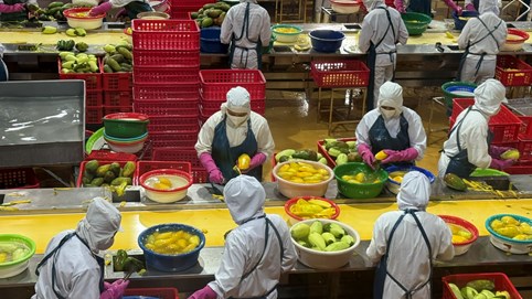 Xuất khẩu nông, lâm, thủy sản đạt gần 40 tỷ USD; cà phê lập kỷ lục mới