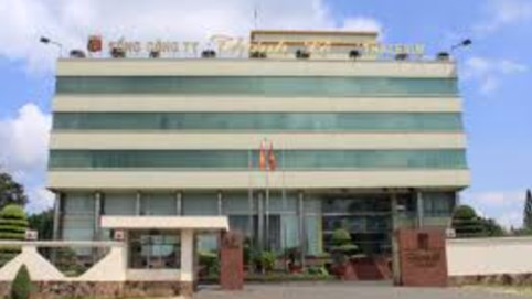 Thalexim (TLP): Lợi nhuận 6 tháng sụt giảm, dòng tiền kinh doanh âm hơn 329 tỷ đồng