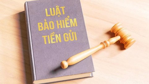 Lấy ý kiến hoàn thiện Dự thảo Luật Bảo hiểm tiền gửi (sửa đổi): Nâng cao hiệu quả bảo vệ người gửi tiền