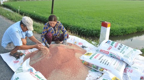 Sau 2 quý lỗ nặng, giảm 70 - 99% lợi nhuận..., triển vọng nửa cuối năm 2023 của DN phân đạm sẽ ra sao?