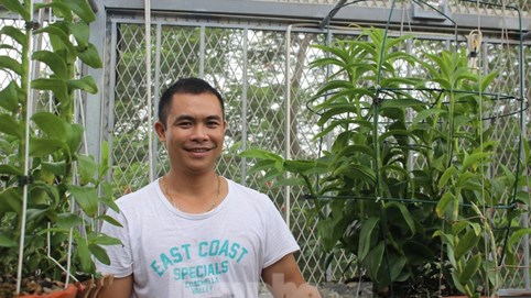 '90 tỷ đồng cho một giò lan đột biến không có gì là kinh khủng’