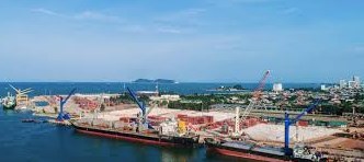 Cổ phiếu NAP quay đầu giảm mạnh, Cảng Nghệ Tĩnh báo lãi kỷ lục nhờ 'ghi nhận' các khoản thu ngoài kinh doanh