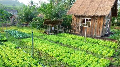 Giá đất làm farmstay tăng tới 7% trong mùa dịch, lợi nhuận chỉ dành cho nhà đầu tư giàu vốn