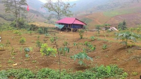 Đầu tư nhà vườn sinh thái thành gánh nặng, đua nhau bán tháo