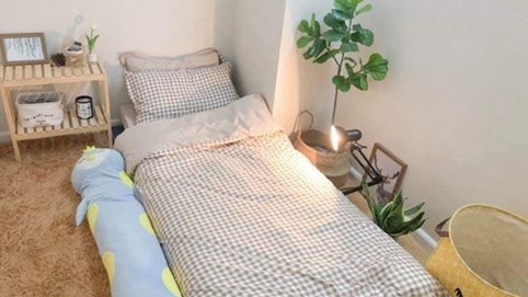 Thuê căn hộ với 1,5 triệu đồng/tháng, điện nước dùng miễn phí - bạn muốn thử ngay không?