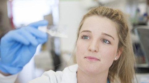 Phát hiện thần dược diệt ung thư trong 1 giờ từ… ong mật