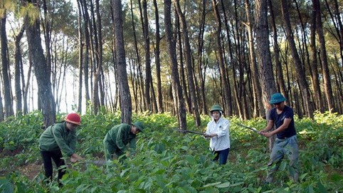 Định mức đất ở, đất sản xuất để xác định hộ gia đình thiếu đất